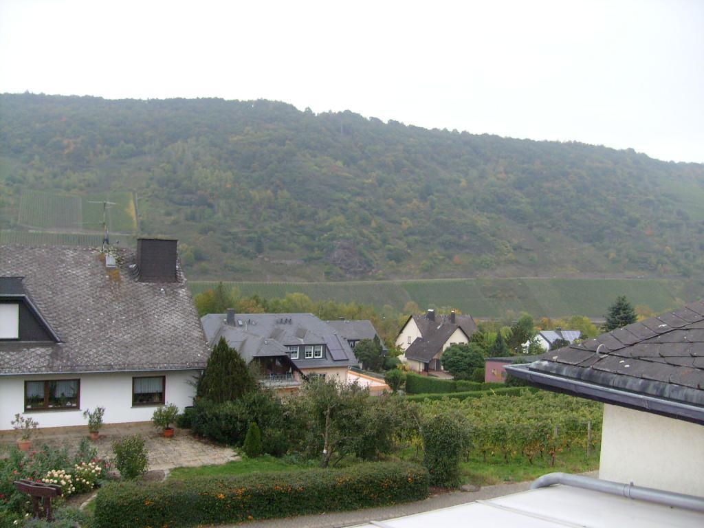 Pension Kroth An Der Mosel Бридель Экстерьер фото